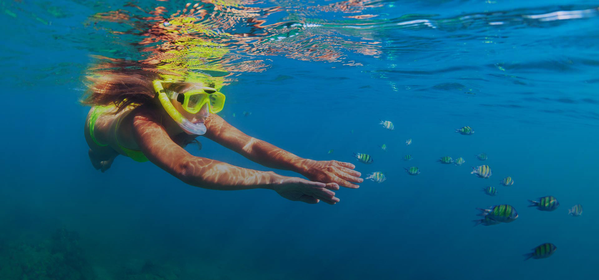 Tour snorkeling